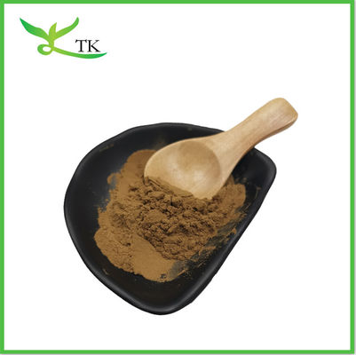 Plant Ajuga Turkestanica Extract Pure 10% Turkesterone Powder