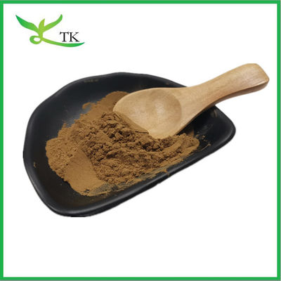 Natural Plant Extract Coleus Forskohlii Root Extract Powder 20% 98% Forskolin