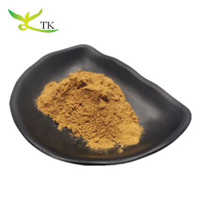 Ligustilide 1% Angelica Sinensis Root Extract Powder Dong Quai Extract