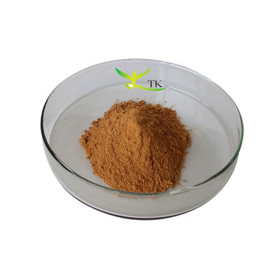 Natural Plant Extract Supplement 10:1 20:1 Teasel Root Extract Powder Dipsacus Asper Extract
