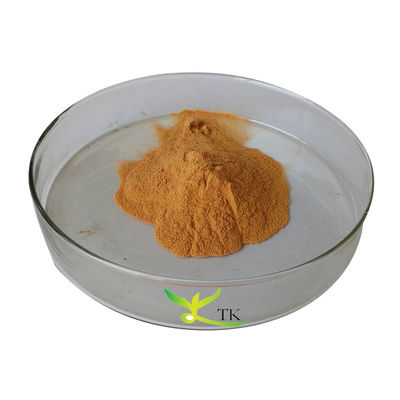 100% Natural Food Grade Chicken Gizzard Membrane Extract Powder