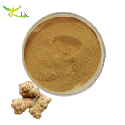 Natural Plant Extract Panax Notoginseng Extract Powder Notoginsenosides Price