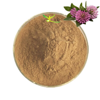 High Quality Red Clover Extract Powder 8% Isoflavones Red Clover Extract For Women Health