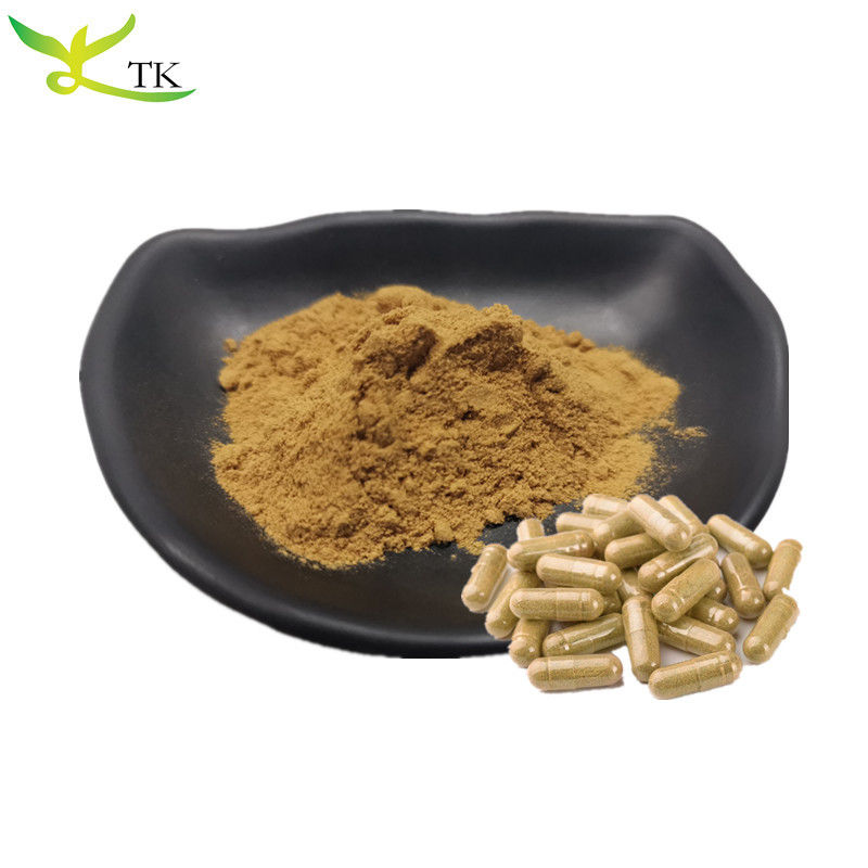Natural TCM Jie Geng Extract Balloonflower Root Extract Platycodon Root Extract