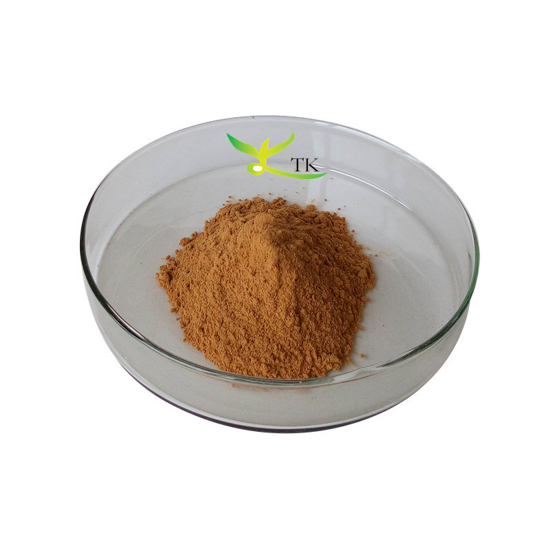 Natural Plant Extract Supplement 10:1 20:1 Teasel Root Extract Powder Dipsacus Asper Extract