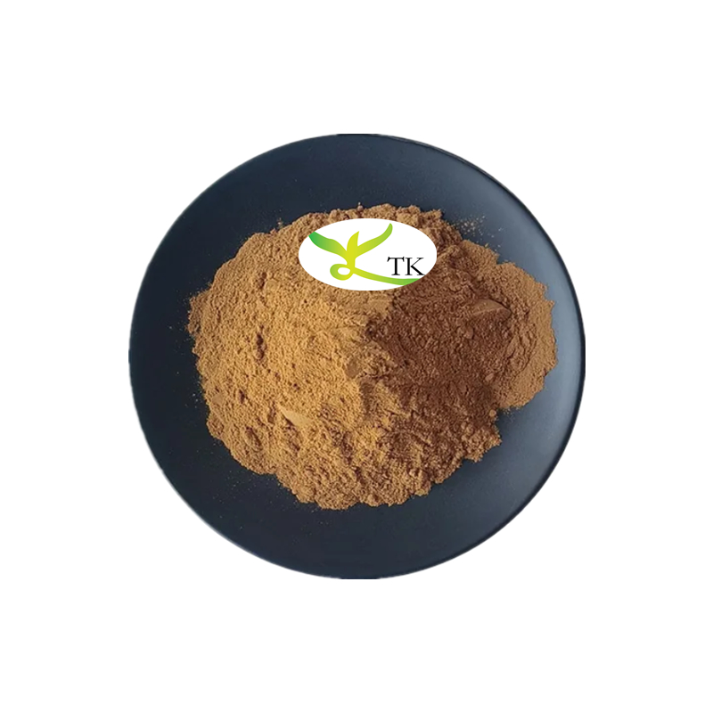 Halal Certificate Prunella Vulgaris Extract Powder 10:1 Prunella Vulgaris Powder
