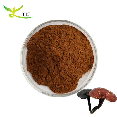 Extracto de Ganoderma Lucidum Natural Polissacarídeos 30% Extracto de cogumelo Reishi Vermelho Orgânico em pó