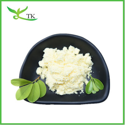 Extracto Vegetal em Pó Gingerol Raiz de gengibre em Pó Gengibre em Pó Para Cuidados de Saúde