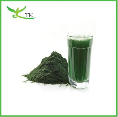 50% Proteína Pura Natural Orgânica Chlorella em Pó Chlorella Vulgaris em Pó Chlorella em comprimidos