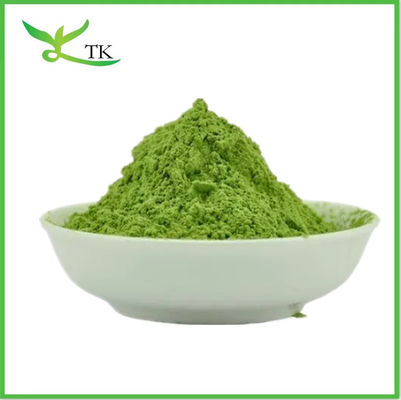 Super Alimento Verde Orgânico Pó de Erva de Trigo Suco de Erva de Trigo em Pó Solúvel em Água Pó de Erva de Trigo Cru