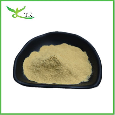 Extracto de fruta de monge puro em pó Mogroside V 25%-50% Extracto de Luo Han Guo adoçante natural