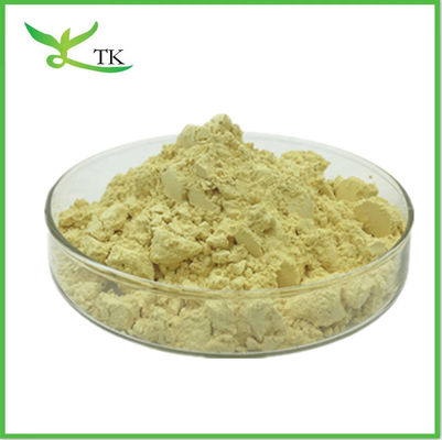 Extracto de raiz de kava em pó Kavalactona 10% 30% Extracto de metístico de pipa de kava