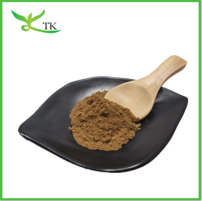 Fungos naturais Lingzhi Shell Ganoderma Lucidum Reishi espora em pó