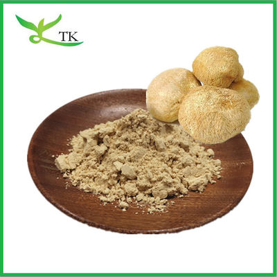 Suplemento de cuidados de saúde Hericium erinaceus natural puro em pó