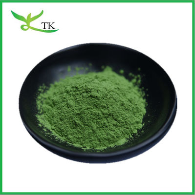 Ervas verdes em pó Superfood Erva de cevada Extracto de Erva de cevada verde em pó