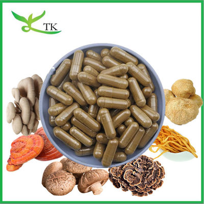 Molho de Leão Manjericão Cordyceps Turquia Cauda Maitake Reishi Chaga Extracto de cogumelo em pó cápsulas