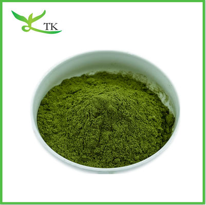 Plant Natural Wheat Grass Juice Powder Extracto de Grass de Trigo em pó