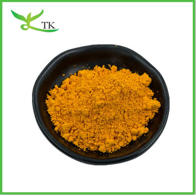 Laranja Amarelo Curcumina Natural 95% em Pó Extracto de Cúrcuma em Pó