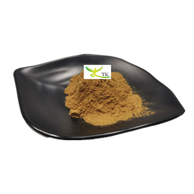 Preço por grosso Extracto vegetal natural em pó 5% Flavonóides Extracto de dente de leão em pó
