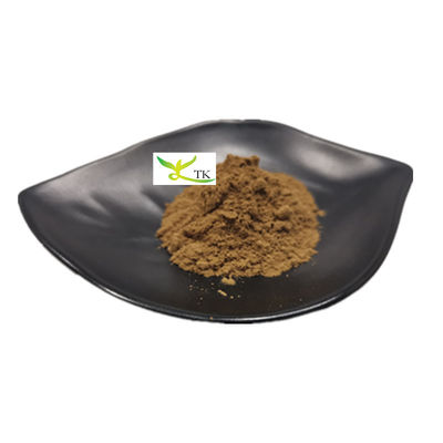 Polissacarídeo de extrato de cogumelo natural 20% de extrato de cogumelo Chaga em pó