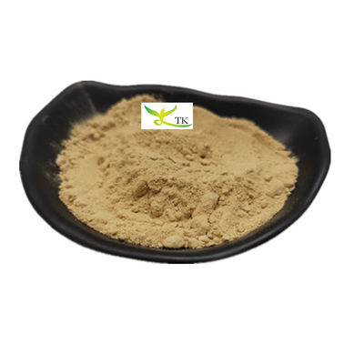 Melhor preço Proteína de sementes de abóbora em pó de qualidade alimentar 80% extrato de sementes de abóbora em pó