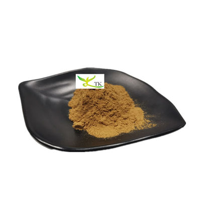 Venda a retalho de extrato de Yucca Schidigera natural em pó Saponina 60% 80% Extracto de Yucca