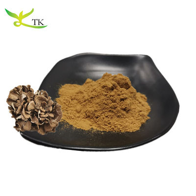 Venda a retalho de suplementos de cogumelos 100% naturais Grifola Frondosa extracto em pó