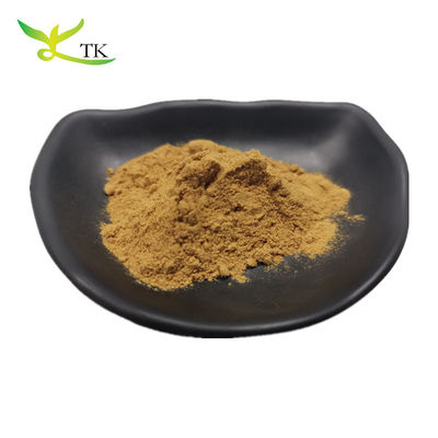 Melhor Preço Extracto Natural de Folhas de Azeitona em Pó 20% 40% 70% Oleuropeína em estoque