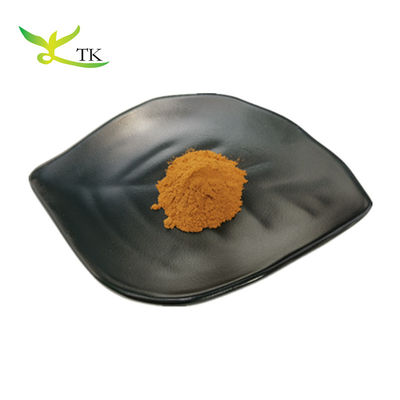 Extracto vegetal natural Extracto de alecrim em pó Ácido carnósico Ácido ursólico Ácido rosmarínico