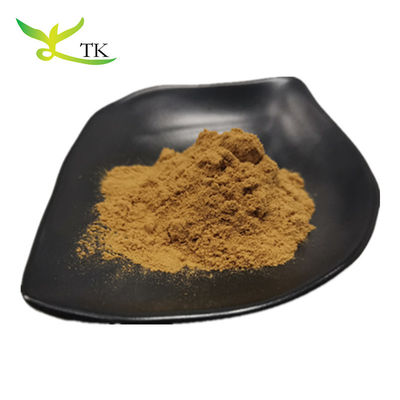 Extracto de Yerba Mate à Venda Livre Extracto de Chá Maté do Paraguai Natural