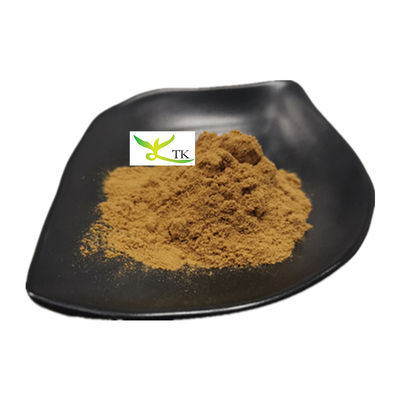 100% extrato de cogumelo de ostras natural em pó