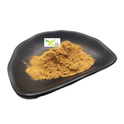 Astragalose IV em pó de Astragalus Membranaceus