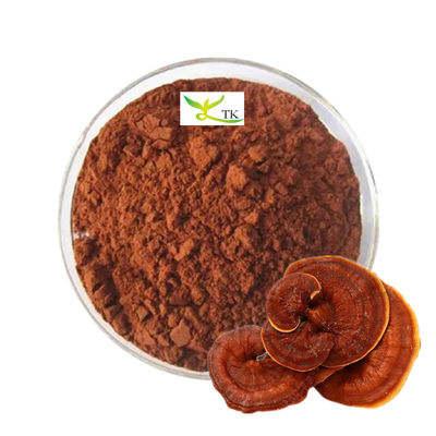 Preço por grosso 100% Ganoderma Lucidum Reishi espora de cogumelo natural em pó