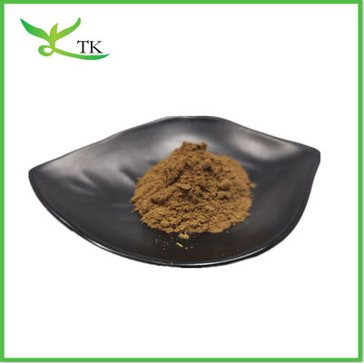 Suplemento Cistanche Tubulosa Extract Powder 50% Echinacoside + 10% Verbascoside