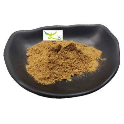 Preço por atacado Fornecimento Natural Nasturtium Officinale Cress Extracto 10:1 Cress em pó
