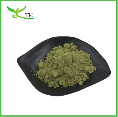 Por grosso Moringa Oleifera chá em pó Moringa folha em pó cápsulas em pó a granel