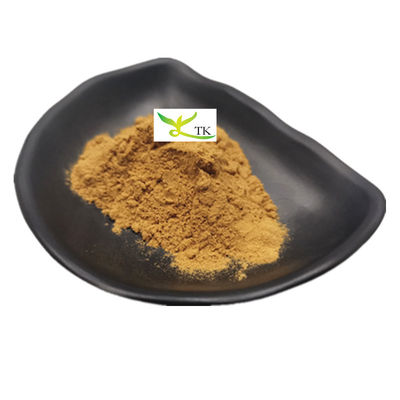 Preço por atacado Suplemento de ervas naturais Ingrediente Extracto de brilho de olho em pó 10:1
