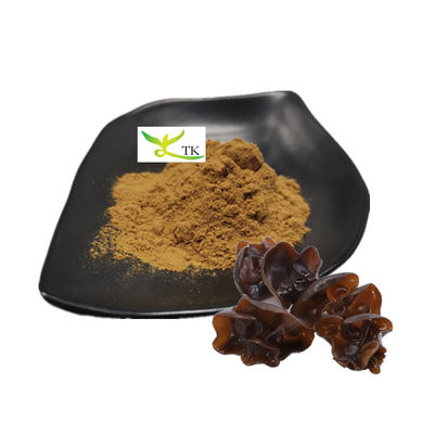 Suplemento Natural de Saúde Extracto de Fungo Negro em Pó Extracto de Fungo Negro