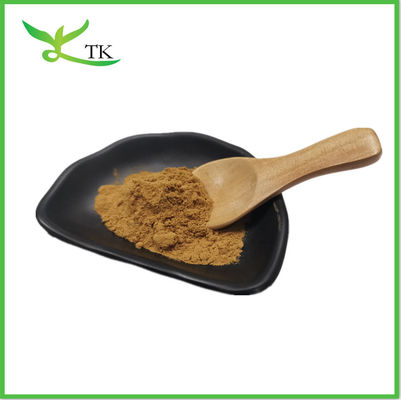 Cordyceps Sinensis 40% Polissacarídeo Ácido Cordycecepico Cordyceps Sinensis Extracto