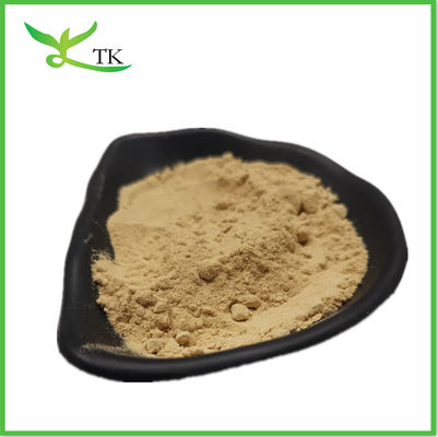 Saúde Extracto de Coriandro Coriandrum Sativum Extracto de Coriandro Extracto de Coriandro em pó