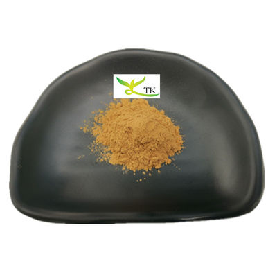 Preço por grosso Extracto de canela natural em pó Extracto de casca de canela em pó Polifenol de canela