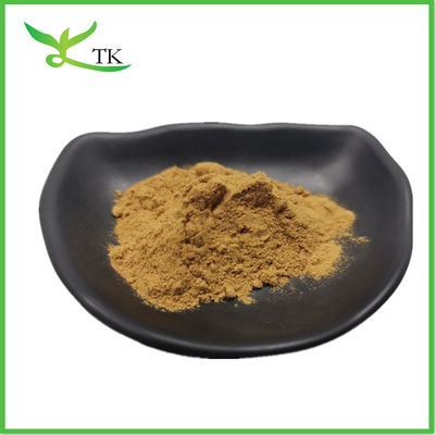 Lignosus Rhinocerus Polissaccharides Extracto de cogumelo de leite de tigre em pó