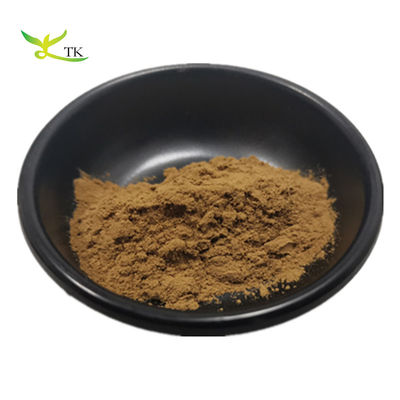 Extracto de Brahmi de alta qualidade 50% Bacopa Monnieri Extracto em pó Bacopasides