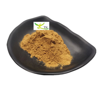Suplemento natural de ervas Panax Quinquefolius extrato em pó 10:1 20:1 extrato de ginseng americano em pó