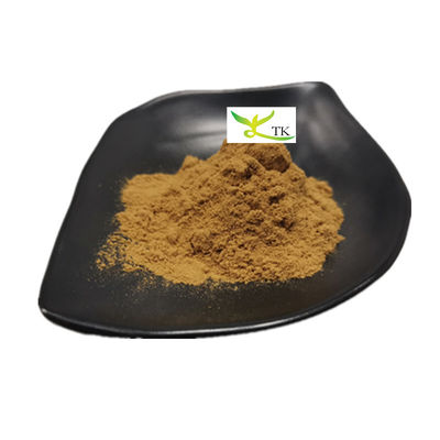 Preço por Varejo Extracto de Erva Natural de Lobelia em Pó Extracto de Folha de Lobelia 10:1 em Pó
