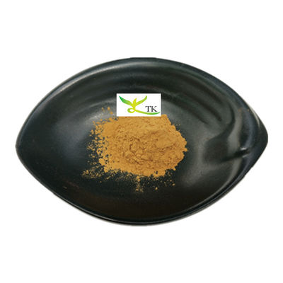 Preço por atacado Portulaca Oleracea Natural Purslane Ervas Extracto Purslane em pó Extracto 10:1