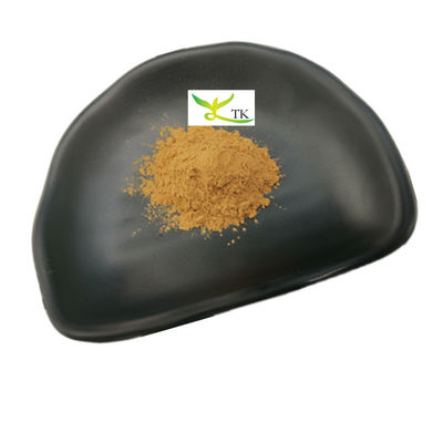 Preço por Varejo Extracto de Agaricus Bisporus Natural em Pó 10%~50% Polissacarídeos