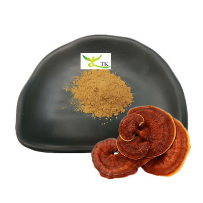 Por grosso Ganoderma Lucidum Extract Reishi Mushroom Extract Polissacarídeos em pó 30%