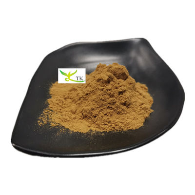 Extracto de Houttuynia cordata em pó de folha de coração Houttuynia herb extract P.E.