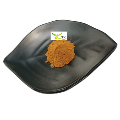 Preço por Varejo 100% Natural Boletus Edulis Extract Penny Bun Extract Powder
